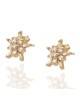 Diamond Star Cluster Stud Earrings in Yellow Gold
