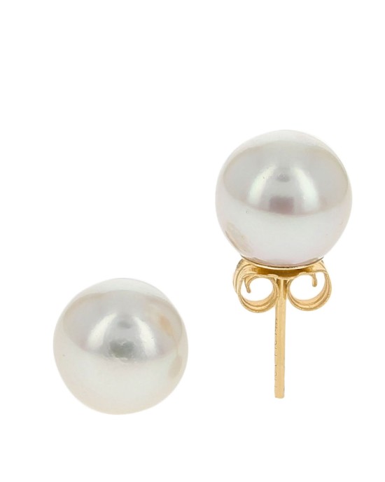White Rose Freshwater Pearl Studs in Yellow Gold