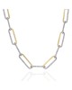 A. Link 2 Tone Diamond Paperclip Necklace