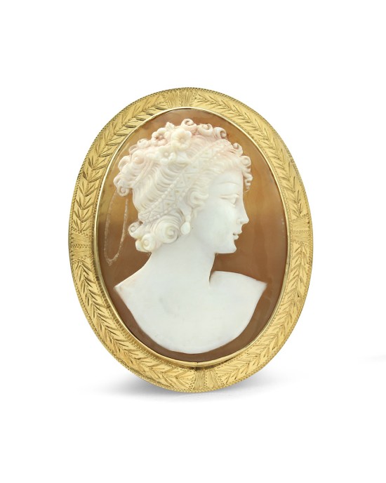 Brown Shell Cameo Brooch Pin in Gold