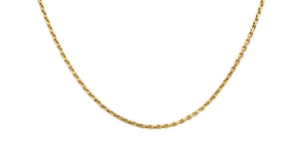 Bot Chain Necklace in Gold